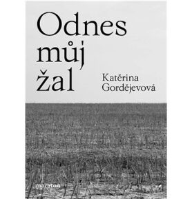 Odnes můj žal