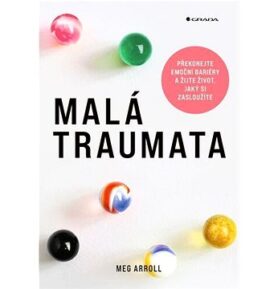 Malá traumata: Překonejte emoční bariéry a žijte život, jaký si zasloužíte