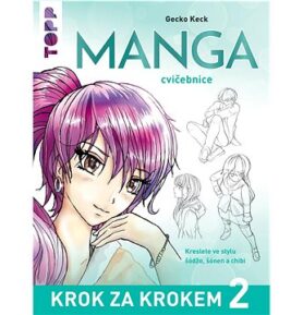 Manga krok za krokem 2
