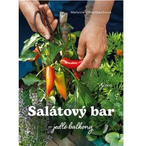 Salátový bar: Jedlé balkony