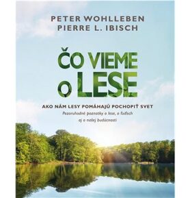 Čo vieme o lese: Ako nám lesy pomáhajú pochopiť svet