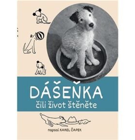 Dášeňka