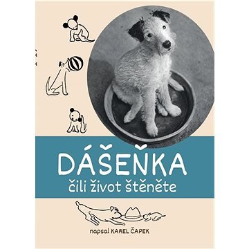 Dášeňka