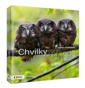 Chvilky v přírodě