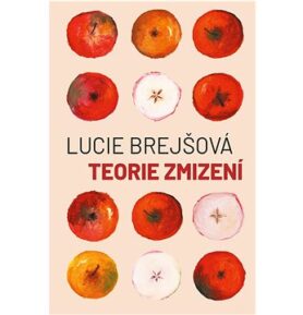 Teorie zmizení