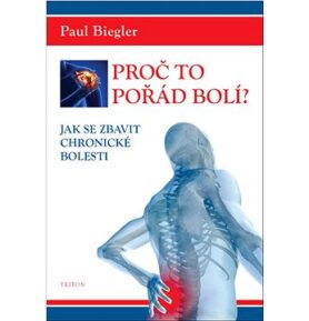 Proč to pořád bolí?: Jak se zbavit chronické bolesti
