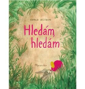 Hledám, hledám