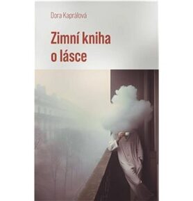 Zimní kniha o lásce
