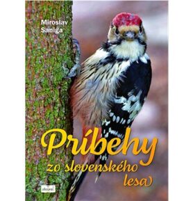Príbehy zo slovenského lesa