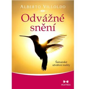 Odvážné snění: Šamanské utváření reality