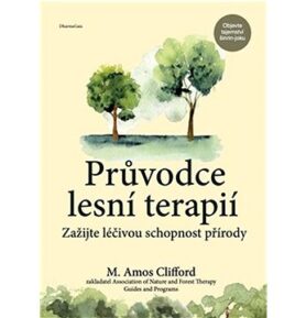 Průvodce lesní terapií: Zažijte léčivou schopnost přírody