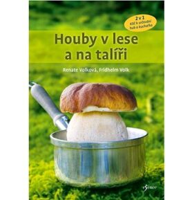 Houby v lese a na talíři