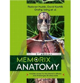 Memorix Anatomy