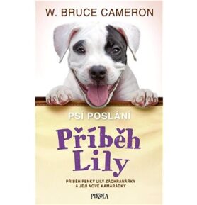 Psí poslání Příběh Lily