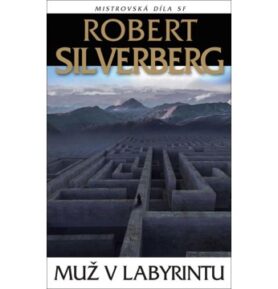 Muž v labyrintu