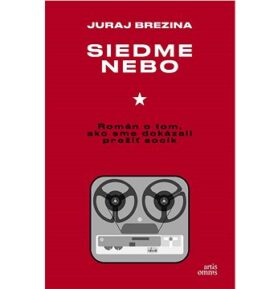 Siedme nebo: Román o tom, ako sme dokázali prežiť socík