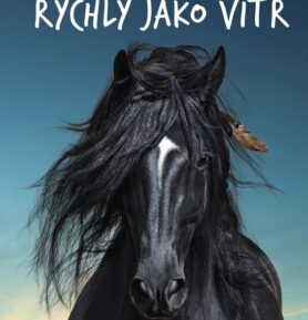 Rychlý jako vítr Jak to všechno začalo