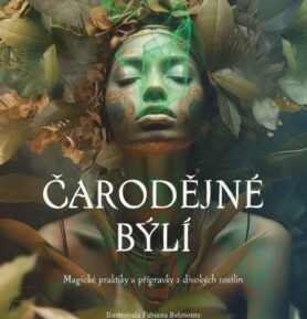 Čarodějné býlí: Magické praktiky a přípravky z divokých rostlin