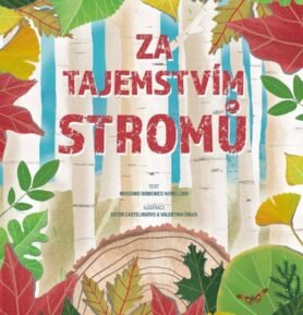 Za tajemstvím stromů