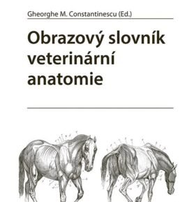 Obrazový slovník veterinární anatomie