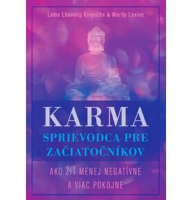 Karma Sprievodca pre začiatočníkov: Ako žiť menej negatívne a viac pokojne