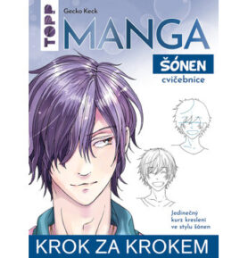 Manga krok za krokem: šónen