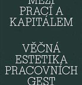 Fotografie mezi prací a kapitálem / Věčná estetika pracovních gest