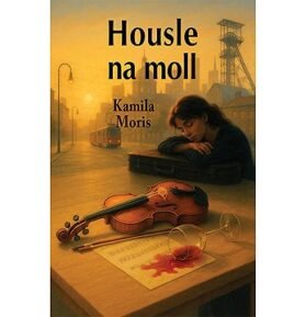 Housle na moll