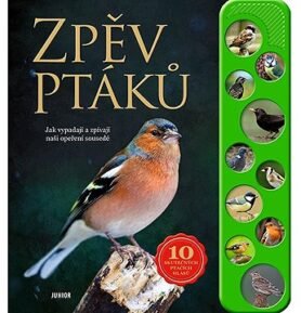 Zpěv ptáků: Jak vypadají a zpívají naši opeření sousedé, 10 skutečných ptačích hlasů