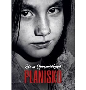Planisko
