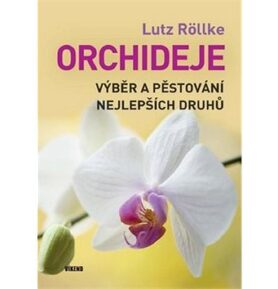 Orchideje: Výběr a pěstování nejlepších druhů