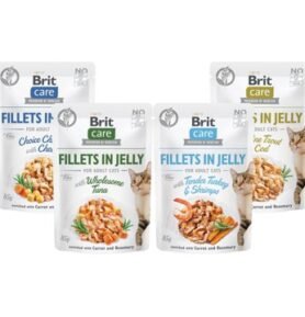 Brit Care Cat Fillets in Jelly Ochutnávkový mix 4 x 85 g