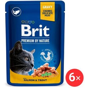 Brit Premium by Nature Cat Pouch with Salmon & Trout 6 × 100 g