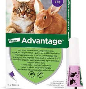 Advantage 4 × 0,8 ml - spot-on pro velké kočky a králíky
