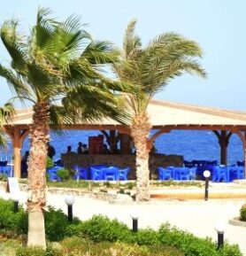 The Three Corners Happy Life