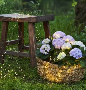 Sirius LED světelný řetěz Knirke (500 LED světýlek)