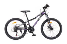 Canull XC 241 černá/fialová 24"
