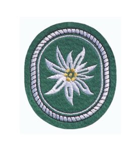 Bundeswehr nášivka alpská protěž