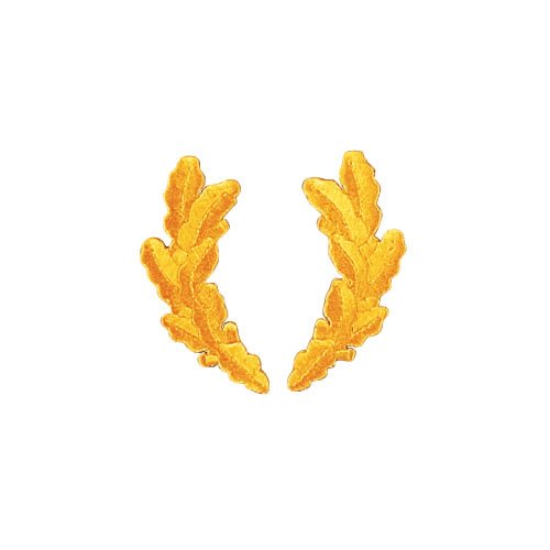 ROTHCO nášivka SCRAMBLED EGGS