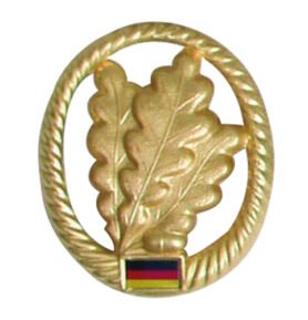 Bundeswehr odznak BW na baret zlatý Jägertruppe