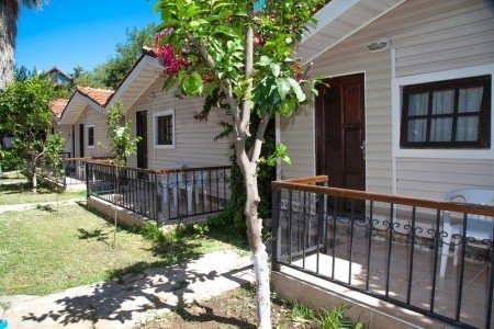 Leda Beach - Obrázek 2