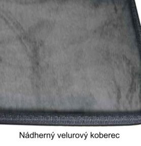 Podlahová rohož Carbest do kabiny řidiče pro Mercedes Benz Sprinter a Volkswagen LT/Crafter Varianta: MB Sprinter/VW LT od roku 2006, Exkluzivní podlahová rohož