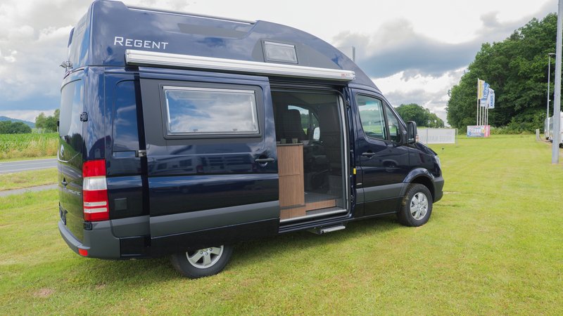 REMIS Dveře se síťkou proti hmyzu 1650x1360mm, MB Sprinter, nízké provedení