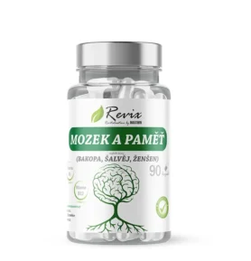 REVIX MOZEK A PAMĚŤ 90 kapslí
