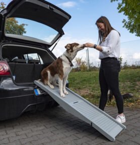 CAMP4 Rampa pro psy EMMA