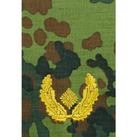 Bundeswehr nárameník BW BRIGADEGENERAL FLECKTARN/zlaté vyšití