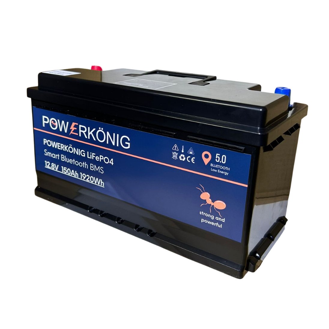 POWERKÖNIG Baterie POWERKÖNIG® LiFePO4 12,8V 150Ah - DIN