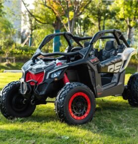 Elektrické autíčko Buggy Can-Am 24V 4x200W černé