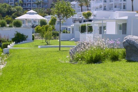 Dimitra Beach Resort - Obrázek 3