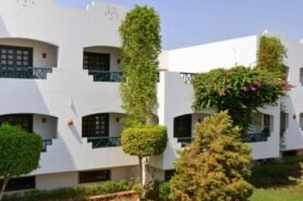 Verginia Sharm